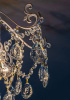 Потолочная люстра Escada 1123/4PL