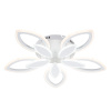 Потолочная светодиодная люстра Escada Gentle 10287/5LED