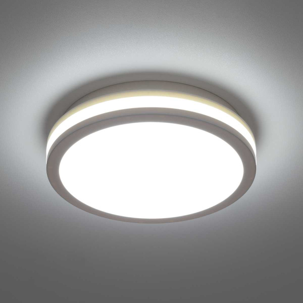 Светильник накладной Citilux LUNS CL711010V