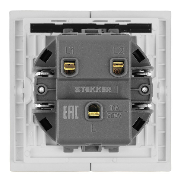 Выключатель 2-клавишный c индикатором (механизм), Stekker, 250В, 10А Мия, RSW10-3102-01, белая магнолия 50432