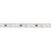Светодиодная лента Arlight 12W/m 60LED/m 5060SMD разноцветный 5М SPI-PS-B60-12mm 12V 039599