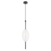 Подвесной светодиодный светильник Loft IT Venice 10223/E White