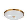 Потолочный светильник Odeon Light Walli Pelow 4956/5