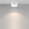 Потолочный светильник Maytoni Technical Glory C094CL-GX53-W