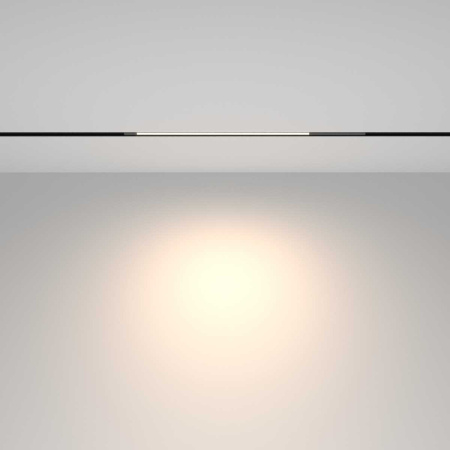 Трековый светильник Maytoni Technical TR231-2-10W4K-B
