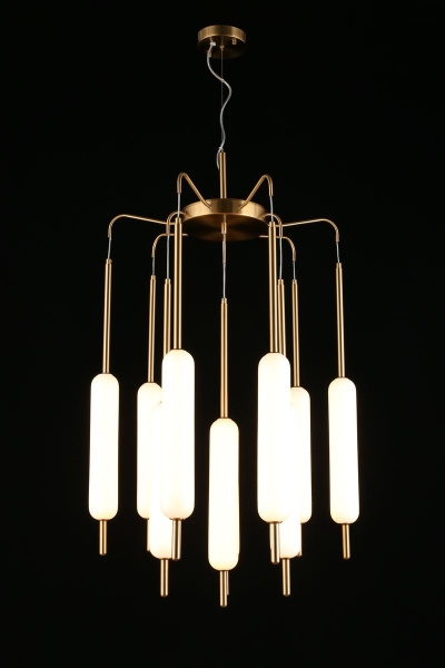 Подвесная светодионая люстра Aployt Carla APL.010.03.80