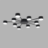 Люстра Lumion COMFI 8344/10C
