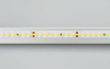 Светодиодная лента Arlight 12W/m 160LED/m 2835SMD теплый белый 50M 024553(2)
