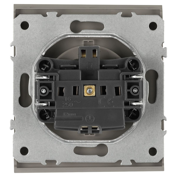 Розетка ЭРА Arktik 16-2103-07 с заземлением 2P+E Schuko со шторками с крышкой 16А-250В титан Б0070440