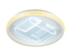 Потолочный светодиодный светильник Ambrella light Original FA600