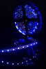 Светодиодная лента SWG 4,8W/m  60Led/m 3528SMD синий 5M SWG360-12-4.8-B-М 009469