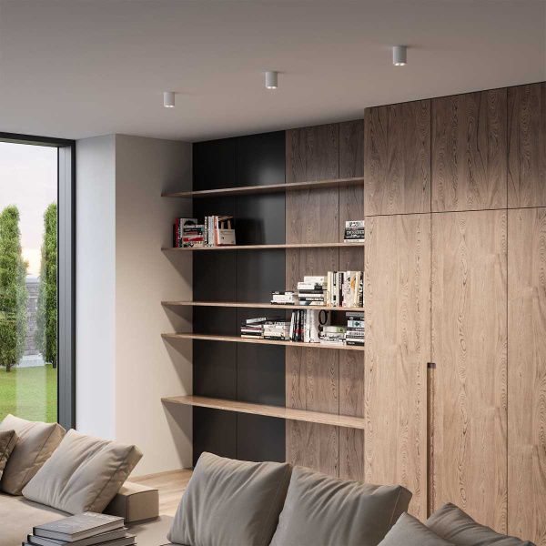 Потолочный светильник Elektrostandard 25111/LED a067482