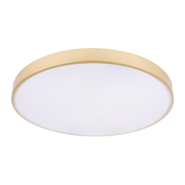 Потолочный светодиодный светильник Loft IT Flims 10228/B Потолочный светодиодный светильник Loft IT Flims 10228/B
