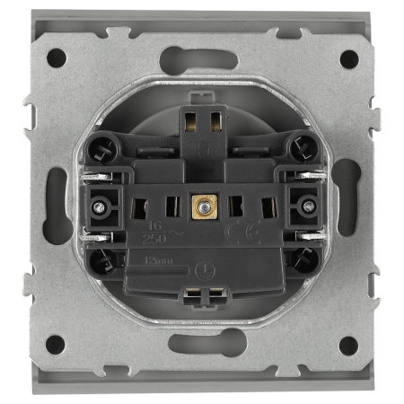 Розетка ЭРА Arktik 16-2103-03 с заземлением 2P+E Schuko со шторками с крышкой 16А-250В алюминий Б0070436
