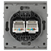 Розетка ЭРА Arktik 16-3108-03 информационная двойная 2XRJ45 алюминий Б0070486
