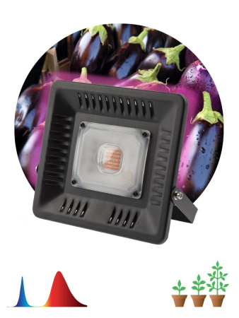 Прожектор светодиодный ЭРА 50W 1370K Fito-50W-Led Б0039033