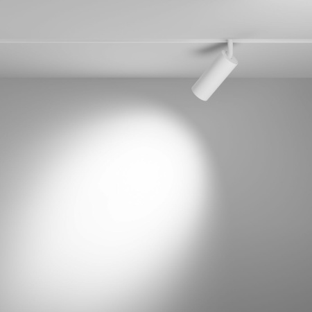 Трековый светодиодный светильник Maytoni Technical Exility Focus Led TR032-4-12WTW-S-DD-W