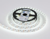 Светодиодная лента Ambrella Light 19,2W/m 240LED/m 2835SMD дневной белый 5M GS1603