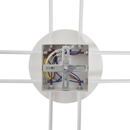 Светильник потолочный Lumion BENUA 8305/8C