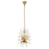 Подвесная люстра LOFT IT Splash 10418/6