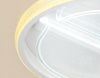 Потолочный светодиодный светильник Ambrella light Original FA602