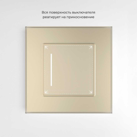 Сенсорный выключатель одноклавишный Werkel с подсветкой шампань W4512011 4690389198014