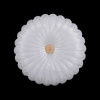 Потолочный светильник Crystal Lux SOLARIS PL400