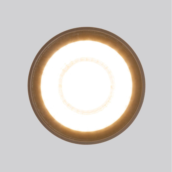 Уличный светодиодный светильник Elektrostandard Light Led 35132/H черный a056231