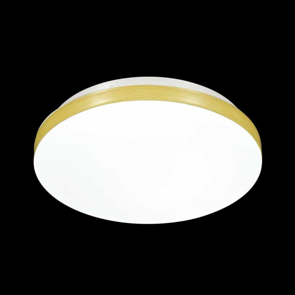 Настенно-потолочный светодиодный светильник Sonex Mini Smalli 3066/AL