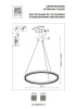 Подвесная светодиодная люстра Lightstar Rotonda 736181