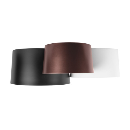 Потолочный светодиодный светильник Loft IT Duo 10360/3