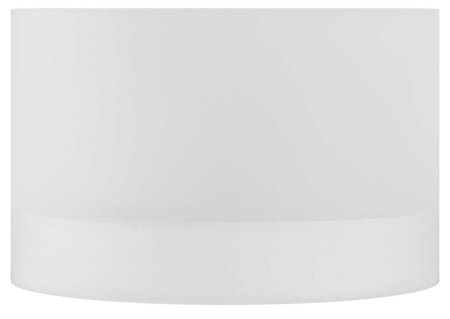 Настенно-потолочный светильник ЭРА OL30 WH Б0056359