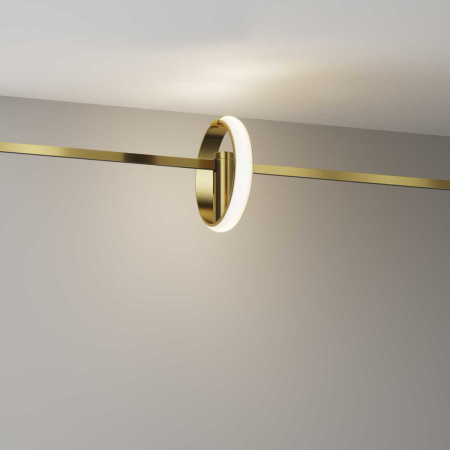 Трековый светильник Maytoni Technical TR230-1-10W3K-BS