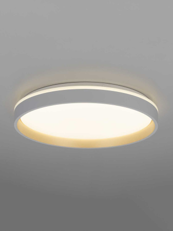 Светильник потолочный Citilux ENZO CL753450G