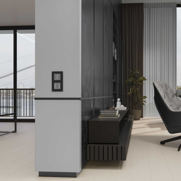 Сенсорный выключатель одноклавишный Werkel (Умный дом) с подсветкой серебряный W4513006 a064143