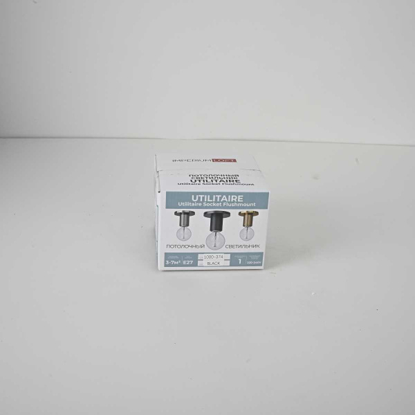 Потолочный светильник Imperium Loft RH Utilitaire Socket Flushmount 123676-22