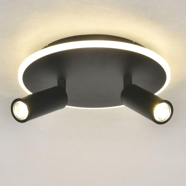 Потолочный светодиодный светильник Escada 20046SMA/02LED BK Потолочный светодиодный светильник Escada 20046SMA/02LED BK