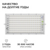 Прожектор светодиодный Apeyron 100W 6500K 05-62