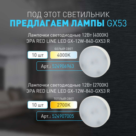 Настенно-потолочный светильник ЭРА OL39 CH Б0056390