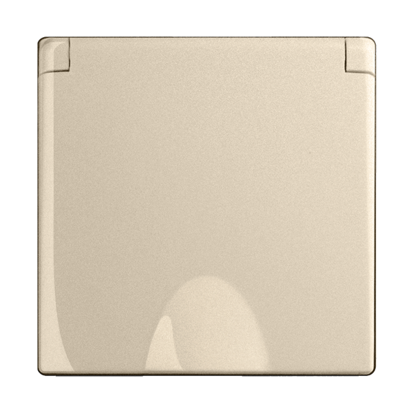 Розетка Werkel влагозащищенная с заземлением с защитой крышкой и шторками шампань W1171211 4690389157400