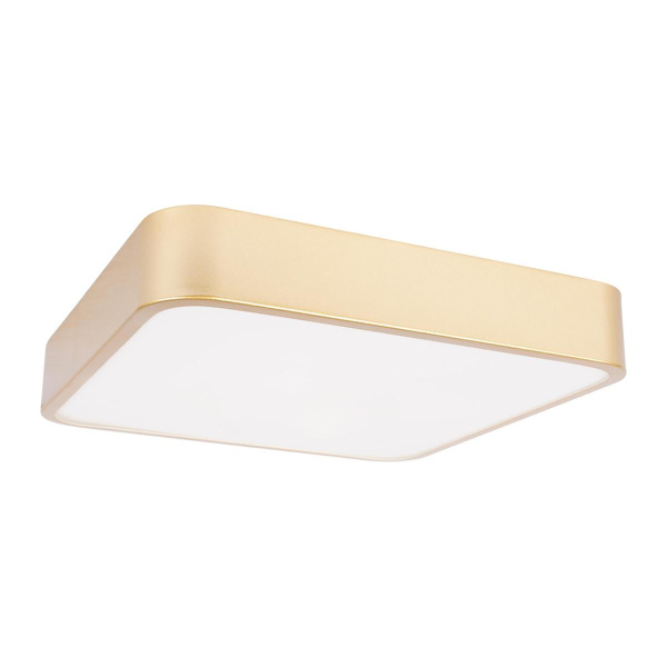 Потолочный светодиодный светильник Loft IT Flims 10228/C Потолочный светодиодный светильник Loft IT Flims 10228/C