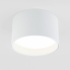 Потолочный светодиодный светильник Elektrostandard 25123/Led Banti 13Вт 4200K a058846