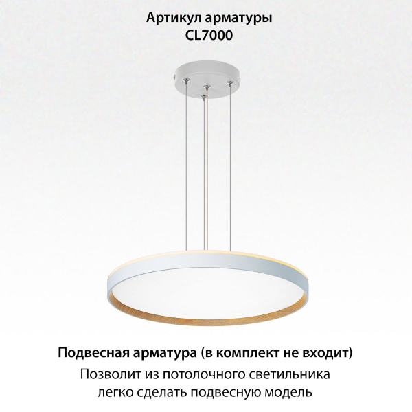 Потолочный светодиодный светильник Citilux Etalon CL750500R