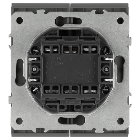 Переключатель ЭРА Arktik 16-1106-06 двойной 10АХ-250В графит Б0070369