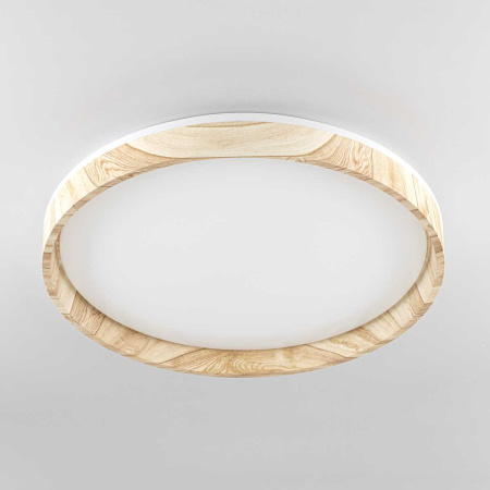 Потолочный светодиодный светильник Citilux Enzo CL753452G