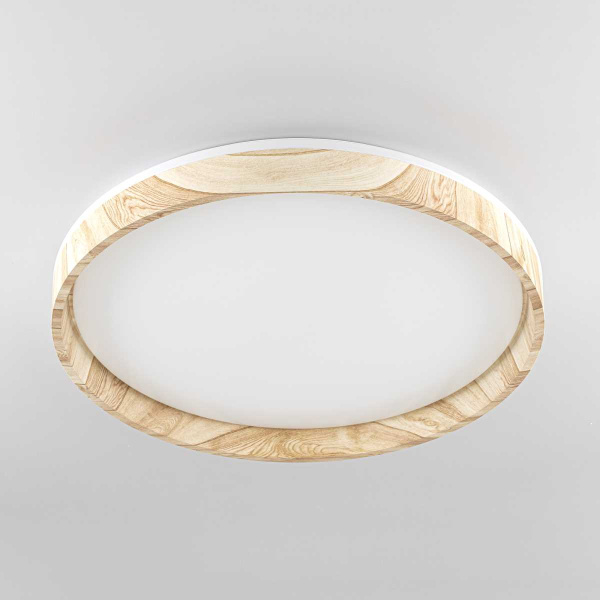 Потолочный светодиодный светильник Citilux Enzo CL753452G