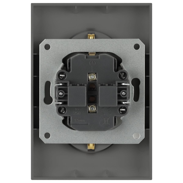 Розетка ЭРА Arktik 16-2105-06 двойная с заземлением 2X2P+E Schuko со шторками 16А-250В графит Б0070459