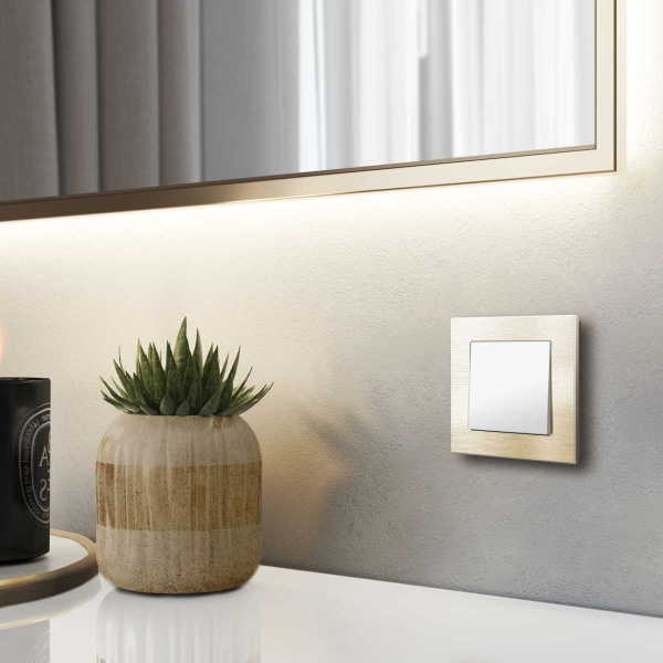 Рамка Werkel Aluminium на 1 пост шампань алюминий W0011711 4690389158001