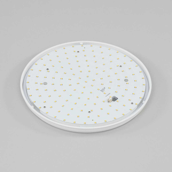 Потолочный светодиодный светильник Citilux Луна CL702221N