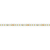 Светодиодная лента Arlight 12W/m 160LED/m 2835SMD холодный белый 5M 024534(2)